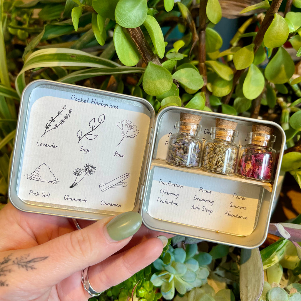 A pocket herbarium. Is is opened like a book. On one side is a list of contents and the other a shelf with 3 bottles of herbs. Behind the jars are the properties of the herbs.